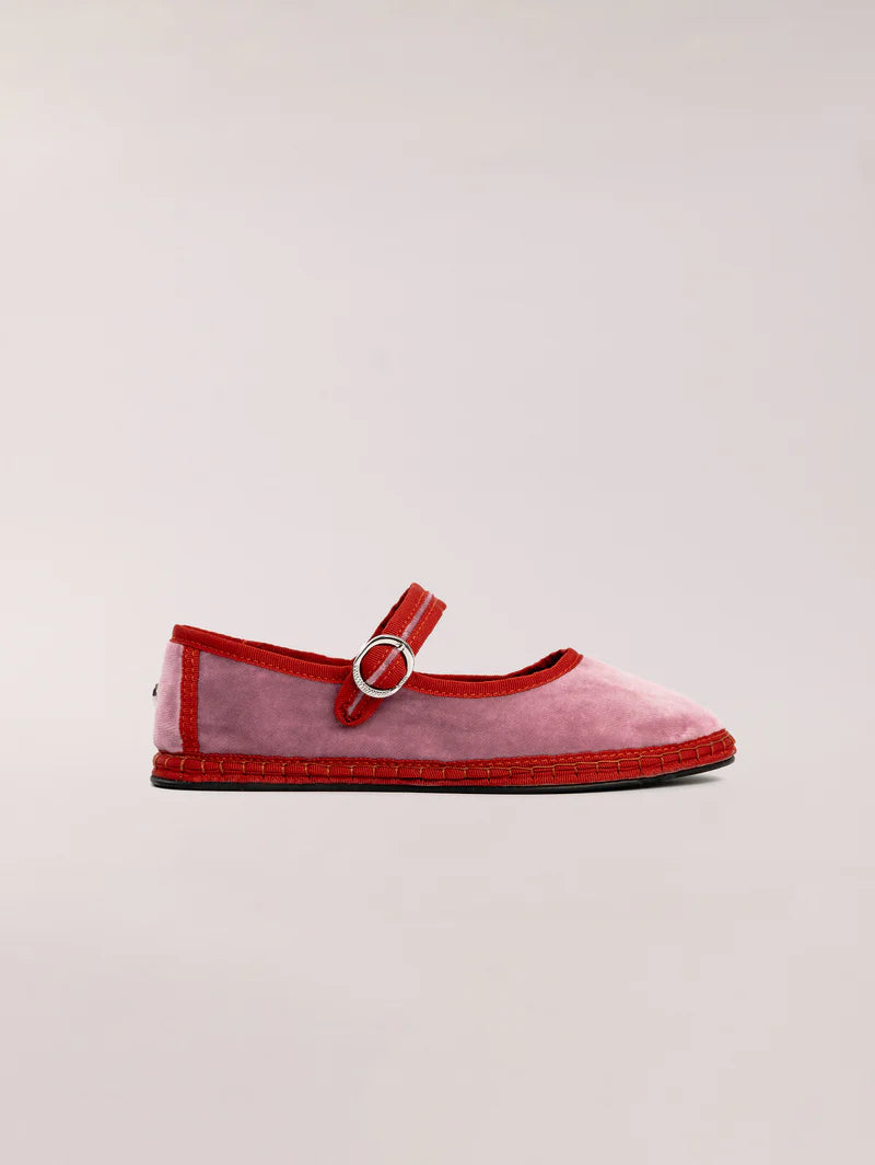 Mary Jane Camelia